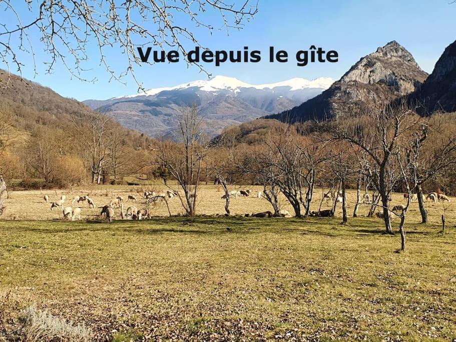 Grange En Pierres. Grand Jardin Et Belle Vue Villa Saurat Exteriör bild